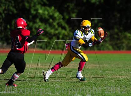 Thumbnail 3 in Hamden @ Wilbur Cross photogallery.