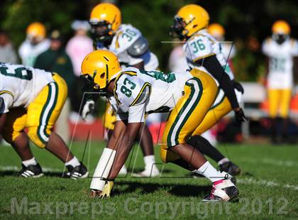 Thumbnail 1 in Hamden @ Wilbur Cross photogallery.