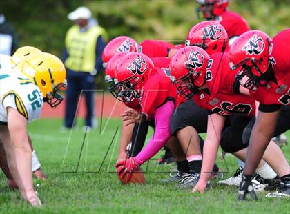 Thumbnail 2 in Hamden @ Wilbur Cross photogallery.