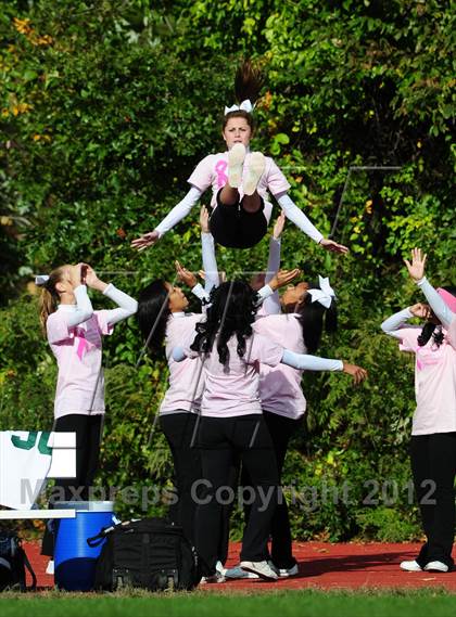 Thumbnail 1 in Hamden @ Wilbur Cross photogallery.