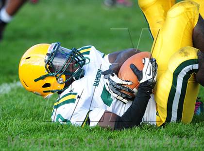 Thumbnail 3 in Hamden @ Wilbur Cross photogallery.