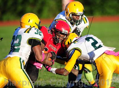 Thumbnail 1 in Hamden @ Wilbur Cross photogallery.
