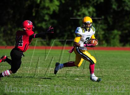 Thumbnail 1 in Hamden @ Wilbur Cross photogallery.