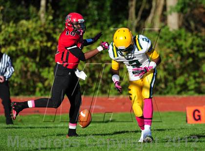 Thumbnail 3 in Hamden @ Wilbur Cross photogallery.