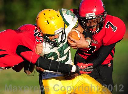 Thumbnail 3 in Hamden @ Wilbur Cross photogallery.