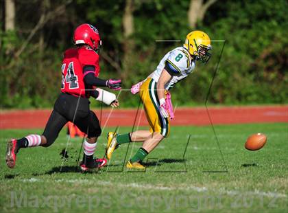 Thumbnail 3 in Hamden @ Wilbur Cross photogallery.