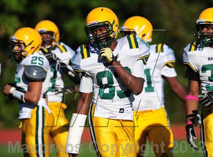 Thumbnail 1 in Hamden @ Wilbur Cross photogallery.