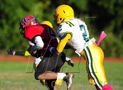 Thumbnail 3 in Hamden @ Wilbur Cross photogallery.