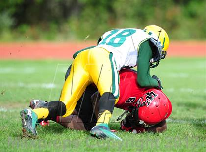 Thumbnail 2 in Hamden @ Wilbur Cross photogallery.