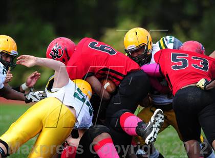 Thumbnail 2 in Hamden @ Wilbur Cross photogallery.