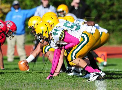 Thumbnail 2 in Hamden @ Wilbur Cross photogallery.