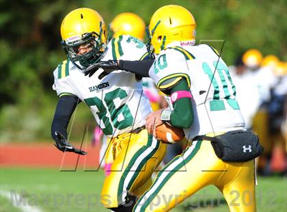 Thumbnail 1 in Hamden @ Wilbur Cross photogallery.