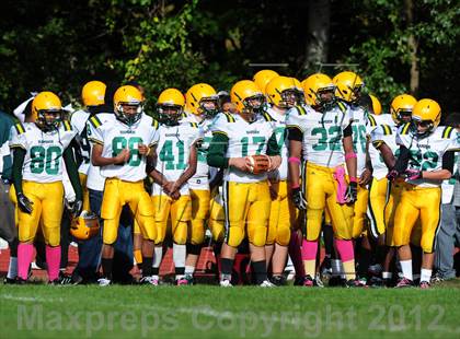 Thumbnail 2 in Hamden @ Wilbur Cross photogallery.