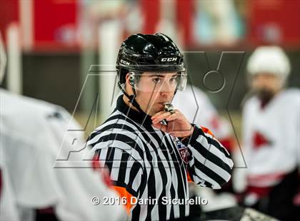 Thumbnail 2 in Brophy College Prep vs Shadow Ridge (AHSHA Final) photogallery.