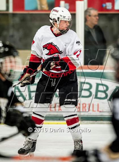 Thumbnail 1 in Brophy College Prep vs Shadow Ridge (AHSHA Final) photogallery.