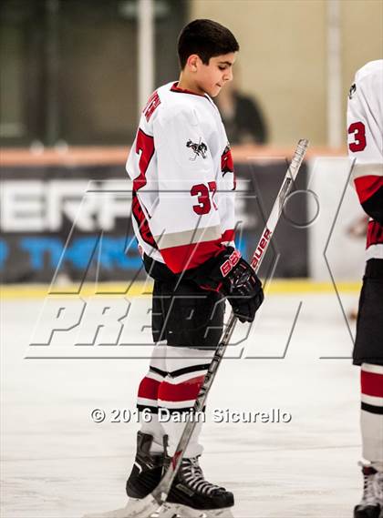 Thumbnail 3 in Brophy College Prep vs Shadow Ridge (AHSHA Final) photogallery.