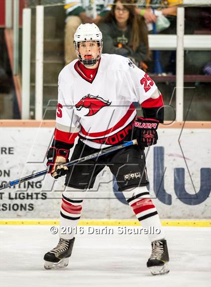 Thumbnail 2 in Brophy College Prep vs Shadow Ridge (AHSHA Final) photogallery.