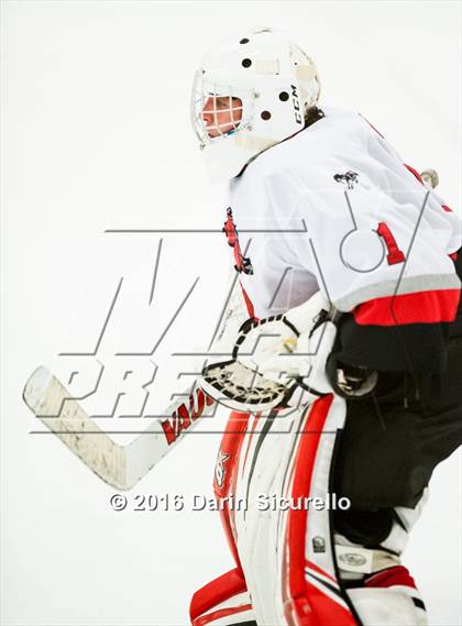 Thumbnail 2 in Brophy College Prep vs Shadow Ridge (AHSHA Final) photogallery.