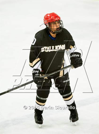 Thumbnail 3 in Brophy College Prep vs Shadow Ridge (AHSHA Final) photogallery.