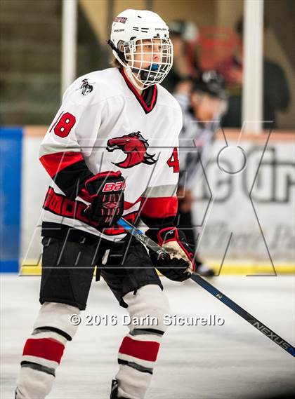 Thumbnail 1 in Brophy College Prep vs Shadow Ridge (AHSHA Final) photogallery.
