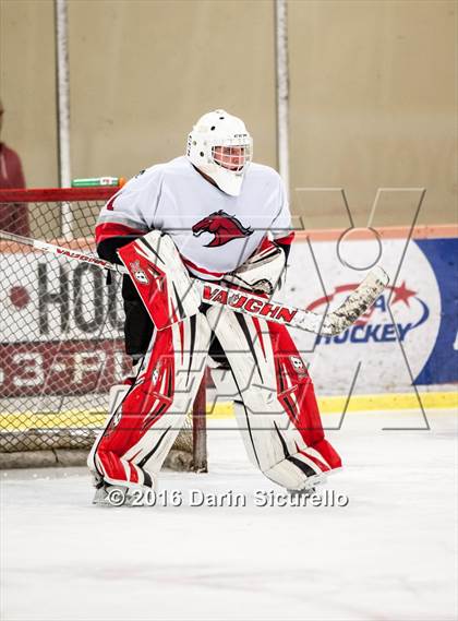 Thumbnail 1 in Brophy College Prep vs Shadow Ridge (AHSHA Final) photogallery.