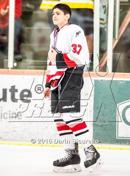 Thumbnail 1 in Brophy College Prep vs Shadow Ridge (AHSHA Final) photogallery.