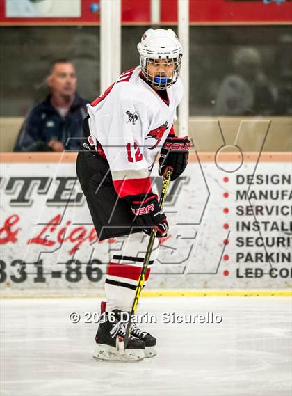 Thumbnail 3 in Brophy College Prep vs Shadow Ridge (AHSHA Final) photogallery.