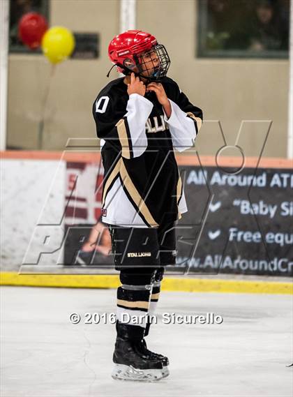 Thumbnail 2 in Brophy College Prep vs Shadow Ridge (AHSHA Final) photogallery.