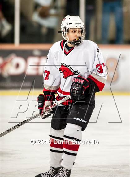 Thumbnail 2 in Brophy College Prep vs Shadow Ridge (AHSHA Final) photogallery.