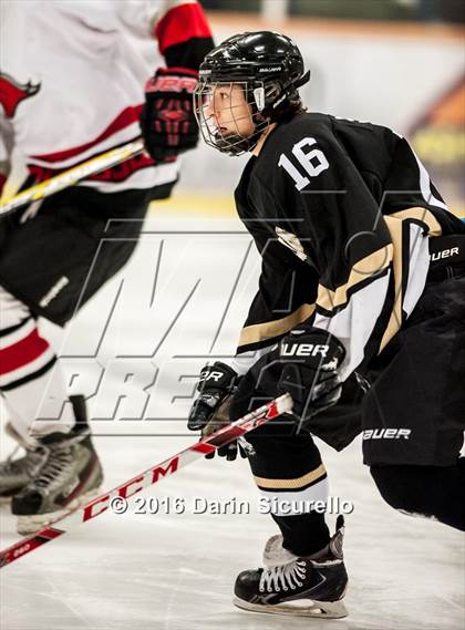 Thumbnail 1 in Brophy College Prep vs Shadow Ridge (AHSHA Final) photogallery.