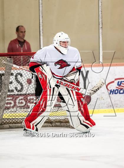 Thumbnail 2 in Brophy College Prep vs Shadow Ridge (AHSHA Final) photogallery.