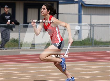 Thumbnail 1 in Herd Roundup @ Elk Grove photogallery.