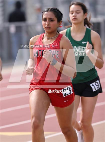 Thumbnail 3 in Herd Roundup @ Elk Grove photogallery.