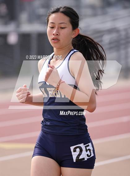 Thumbnail 3 in Herd Roundup @ Elk Grove photogallery.