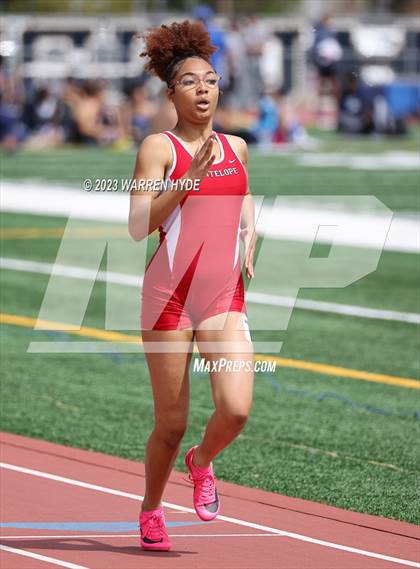 Thumbnail 3 in Herd Roundup @ Elk Grove photogallery.