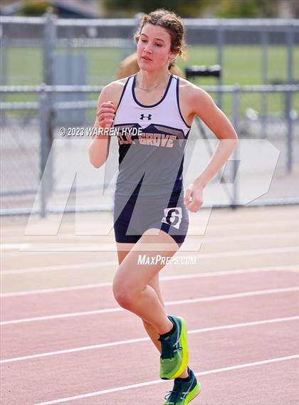 Thumbnail 3 in Herd Roundup @ Elk Grove photogallery.