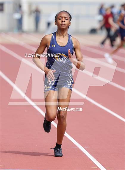 Thumbnail 3 in Herd Roundup @ Elk Grove photogallery.