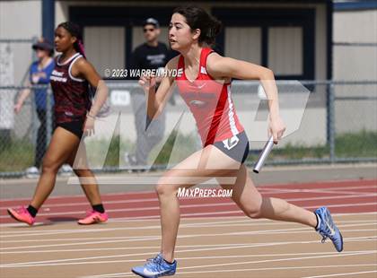 Thumbnail 2 in Herd Roundup @ Elk Grove photogallery.