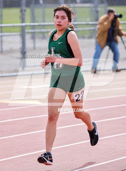 Thumbnail 1 in Herd Roundup @ Elk Grove photogallery.