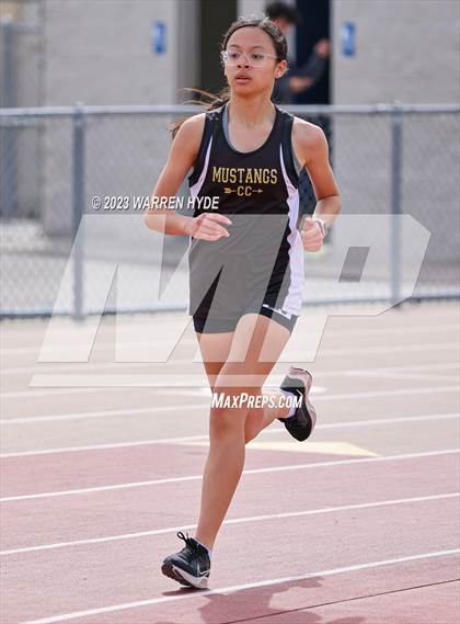 Thumbnail 3 in Herd Roundup @ Elk Grove photogallery.