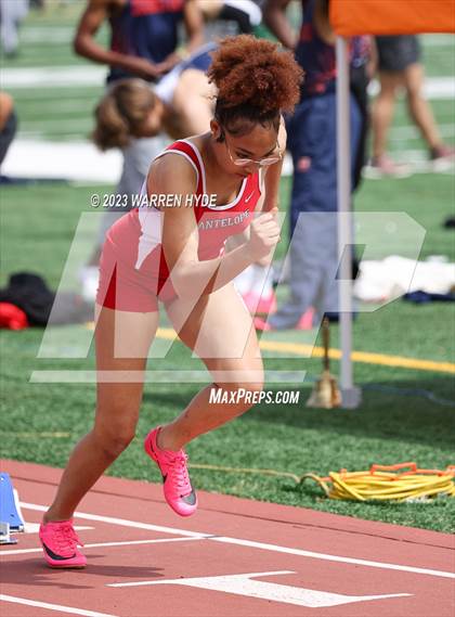 Thumbnail 1 in Herd Roundup @ Elk Grove photogallery.
