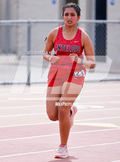 Thumbnail 3 in Herd Roundup @ Elk Grove photogallery.