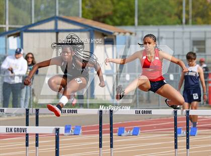 Thumbnail 1 in Herd Roundup @ Elk Grove photogallery.