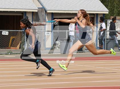 Thumbnail 3 in Herd Roundup @ Elk Grove photogallery.