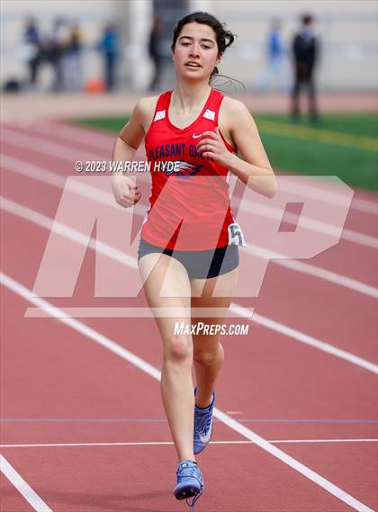 Thumbnail 1 in Herd Roundup @ Elk Grove photogallery.