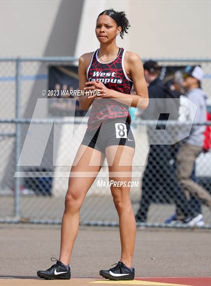 Thumbnail 1 in Herd Roundup @ Elk Grove photogallery.