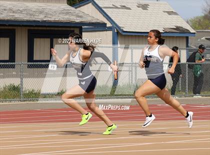 Thumbnail 1 in Herd Roundup @ Elk Grove photogallery.