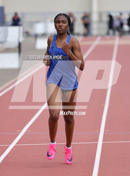 Thumbnail 1 in Herd Roundup @ Elk Grove photogallery.