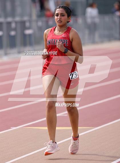 Thumbnail 1 in Herd Roundup @ Elk Grove photogallery.