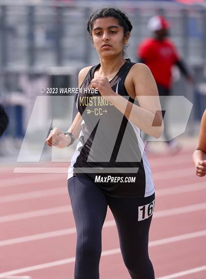 Thumbnail 2 in Herd Roundup @ Elk Grove photogallery.